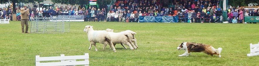 Richard at the Suffolk Show