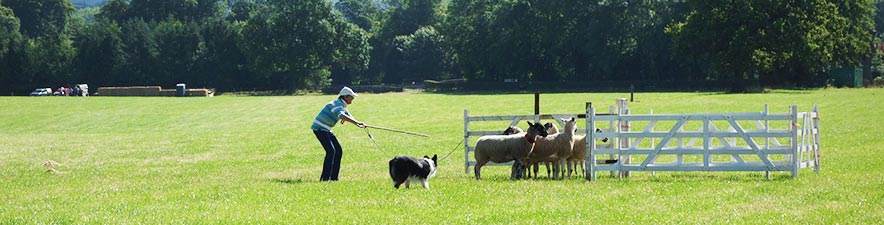 Sue at the English nationals