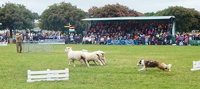 Richard at the Suffolk Show