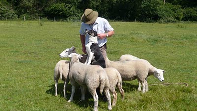 Richard showing he's earned the trust and respect of his animals