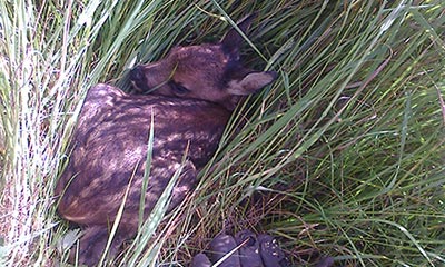 We have to be carefull